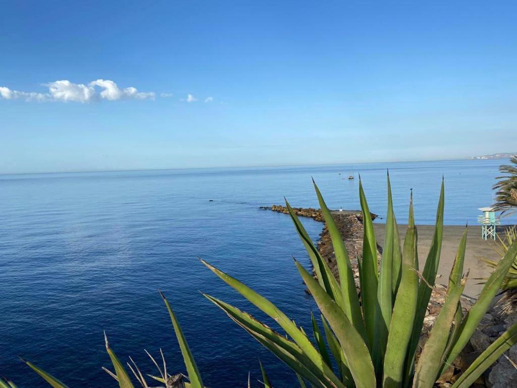 شقة La Casilla تورينيوفا المظهر الخارجي الصورة